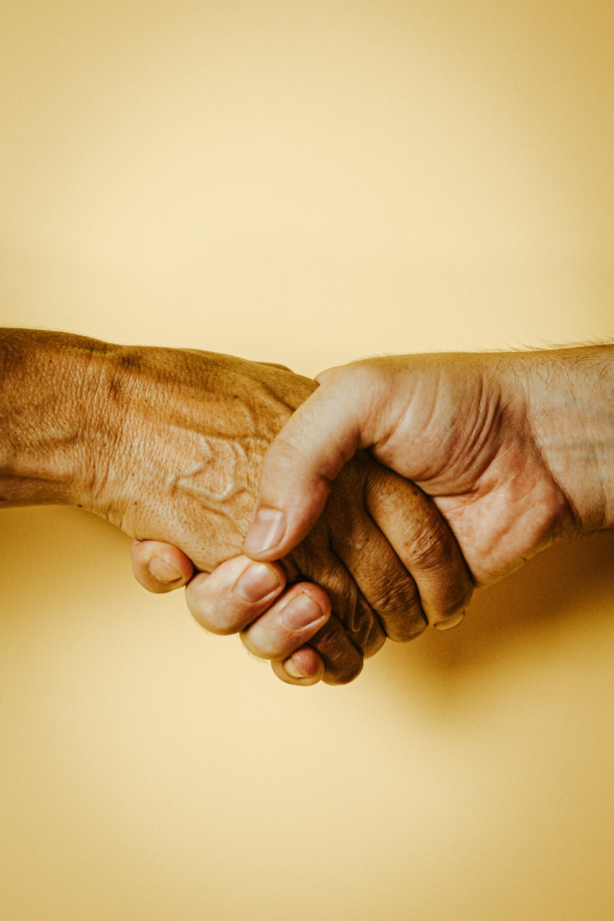 Close-up handshake against a plain background